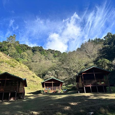 Entre Arboles Lodge San Gerardo de Dota Eksteriør billede