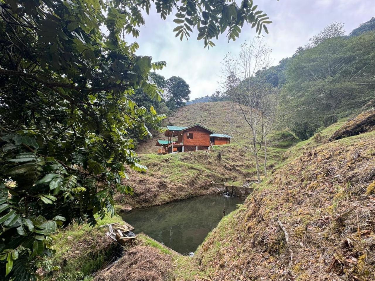 Entre Arboles Lodge San Gerardo de Dota Eksteriør billede