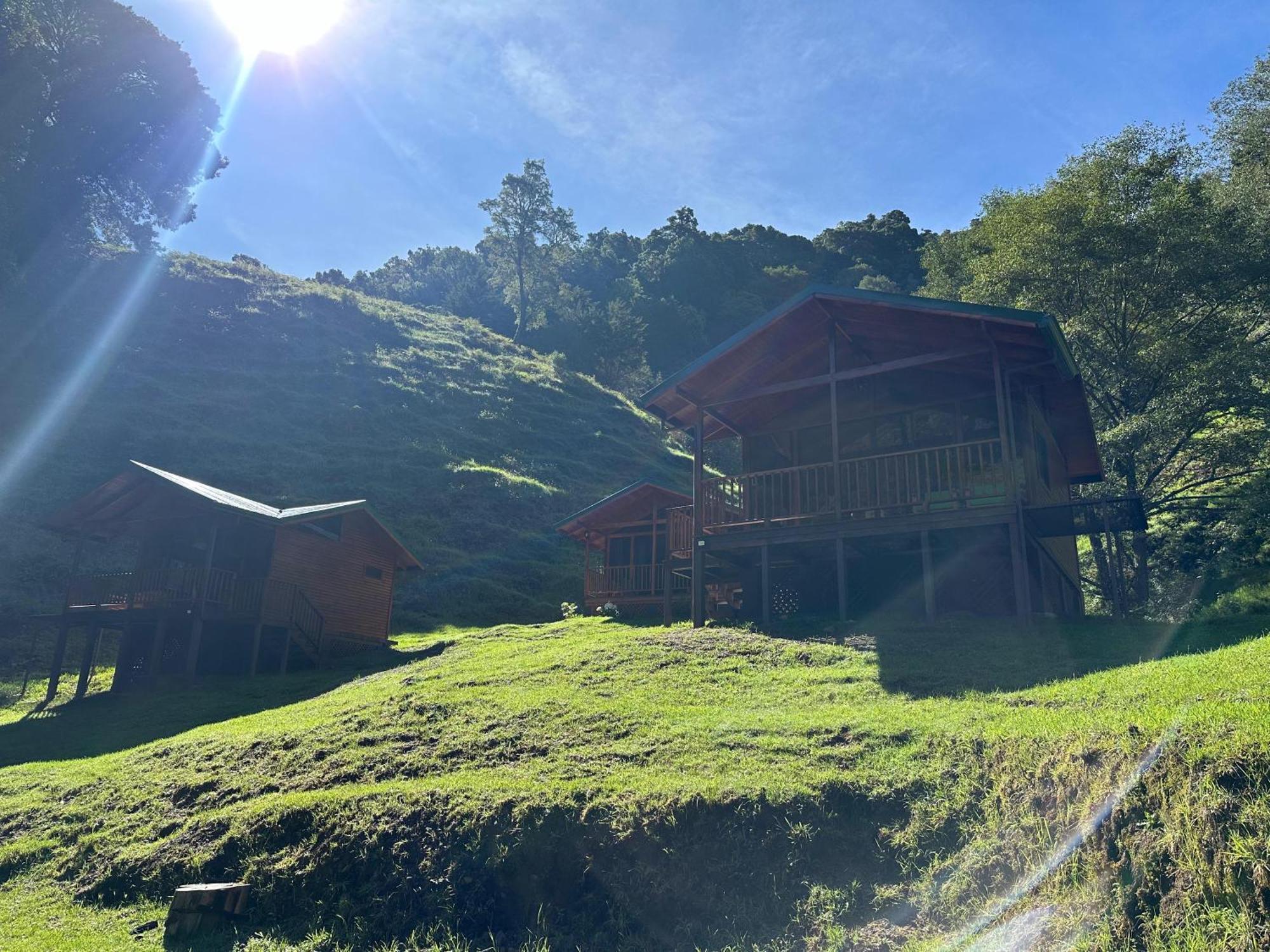 Entre Arboles Lodge San Gerardo de Dota Eksteriør billede