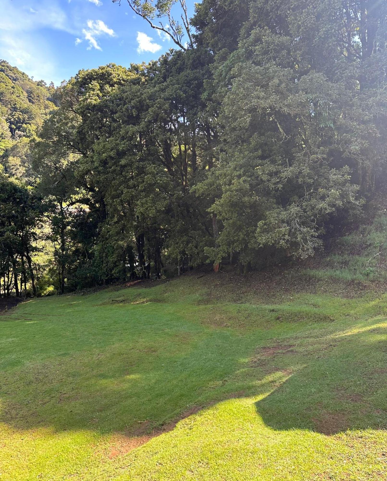 Entre Arboles Lodge San Gerardo de Dota Eksteriør billede