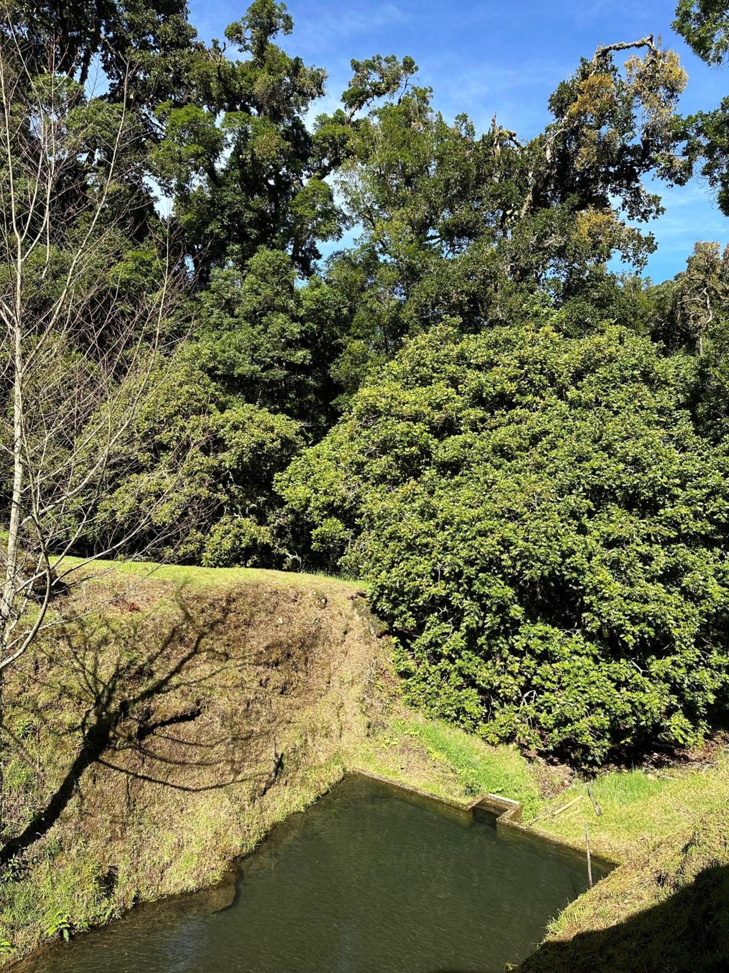 Entre Arboles Lodge San Gerardo de Dota Eksteriør billede