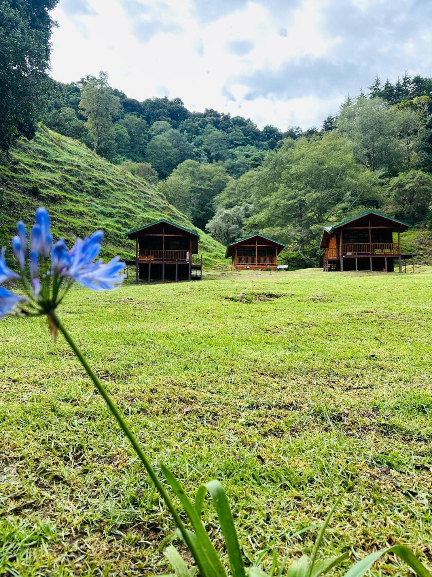 Entre Arboles Lodge San Gerardo de Dota Eksteriør billede