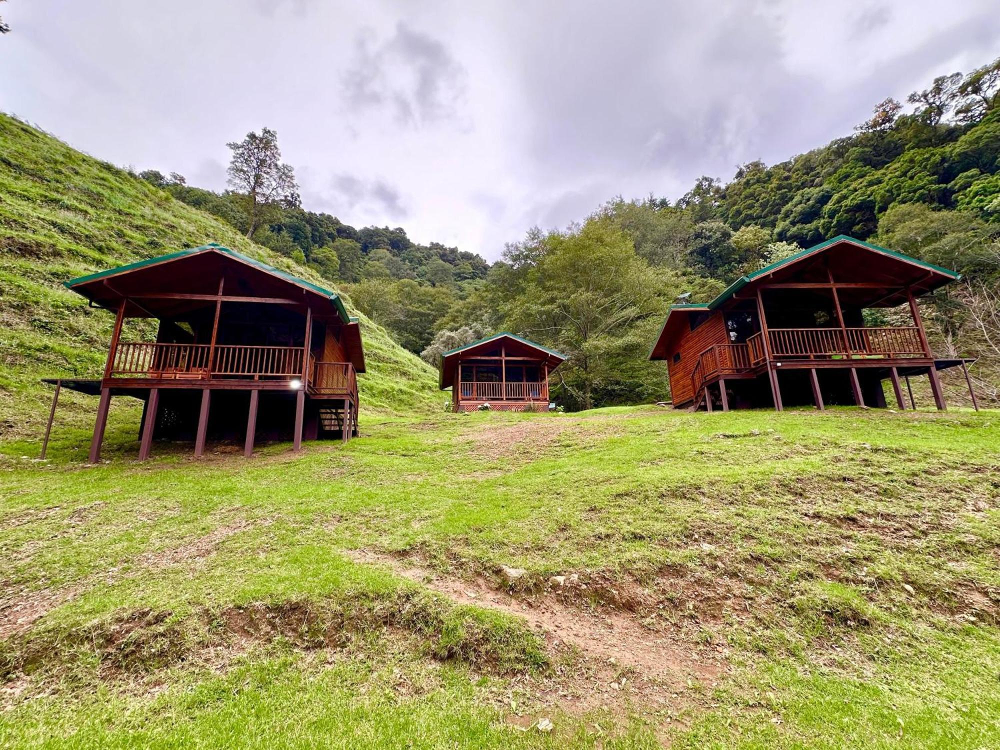 Entre Arboles Lodge San Gerardo de Dota Eksteriør billede