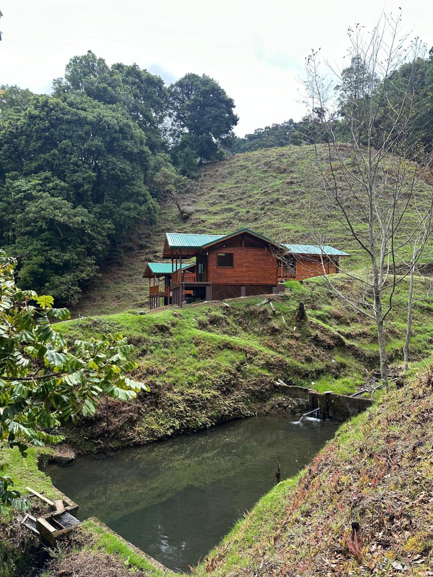 Entre Arboles Lodge San Gerardo de Dota Eksteriør billede