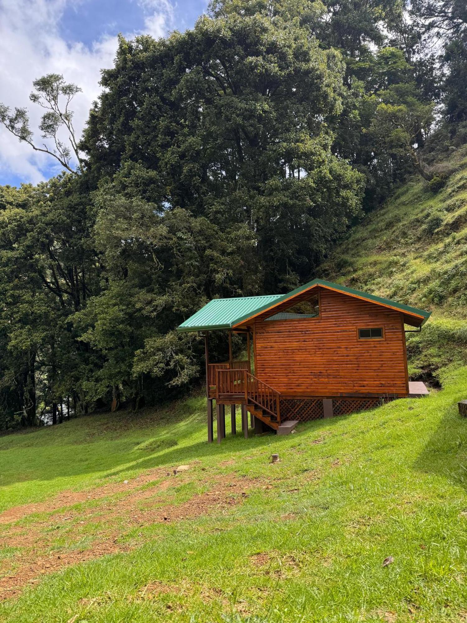 Entre Arboles Lodge San Gerardo de Dota Eksteriør billede