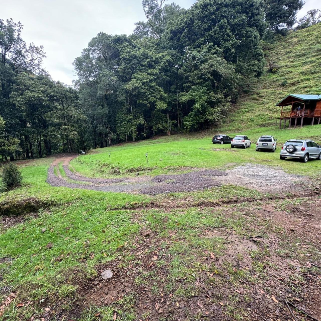 Entre Arboles Lodge San Gerardo de Dota Eksteriør billede