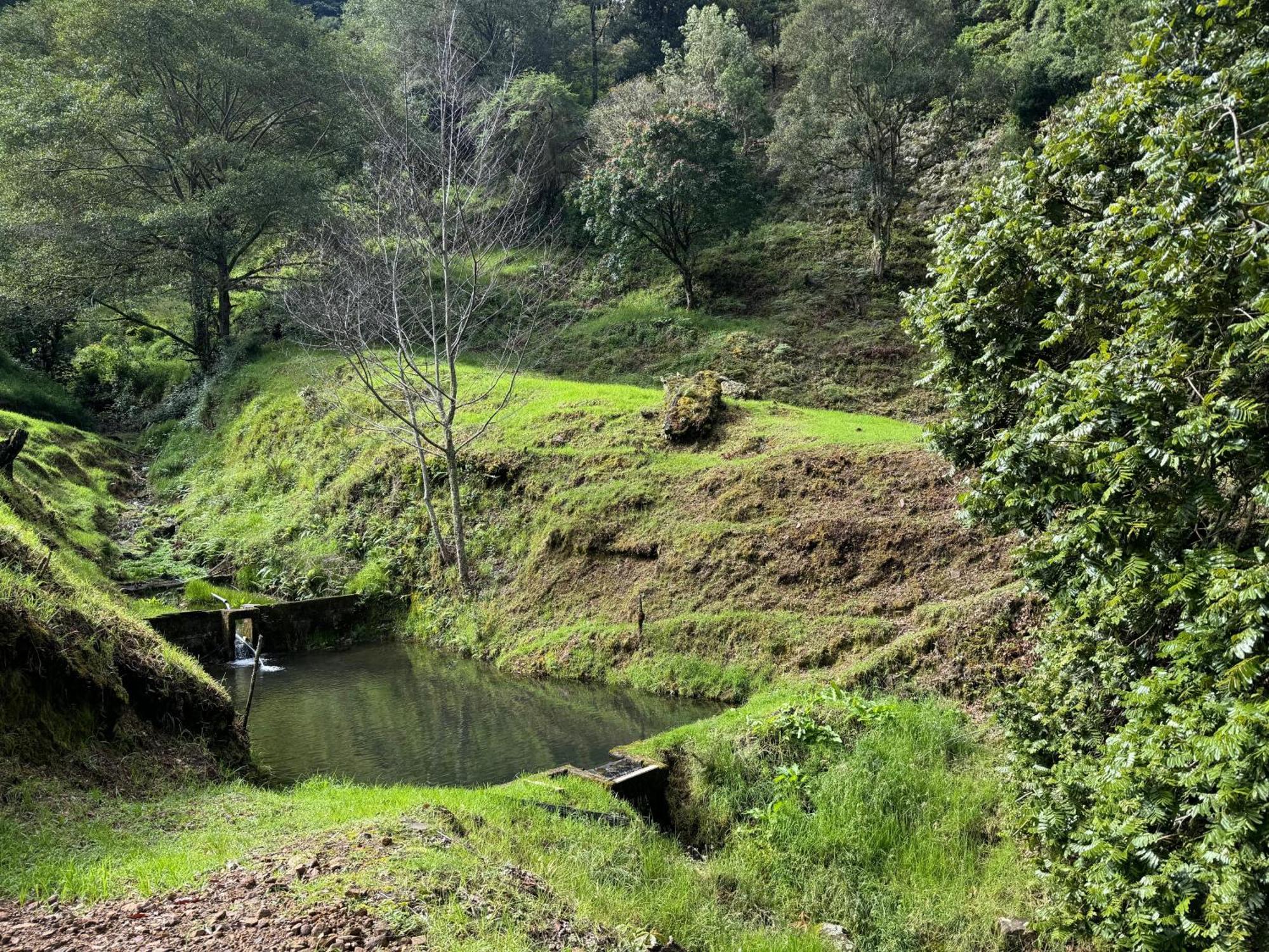Entre Arboles Lodge San Gerardo de Dota Eksteriør billede