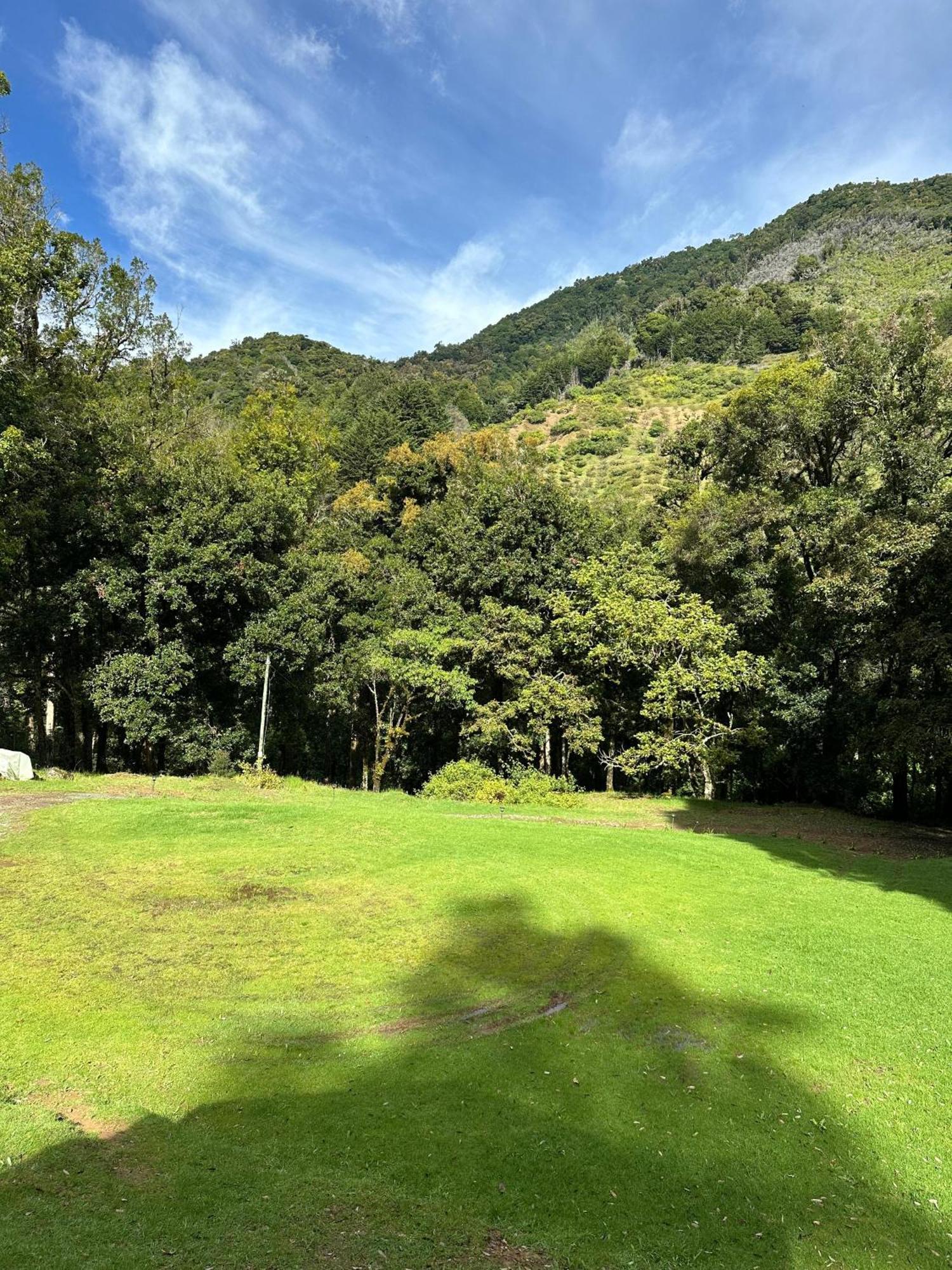 Entre Arboles Lodge San Gerardo de Dota Eksteriør billede