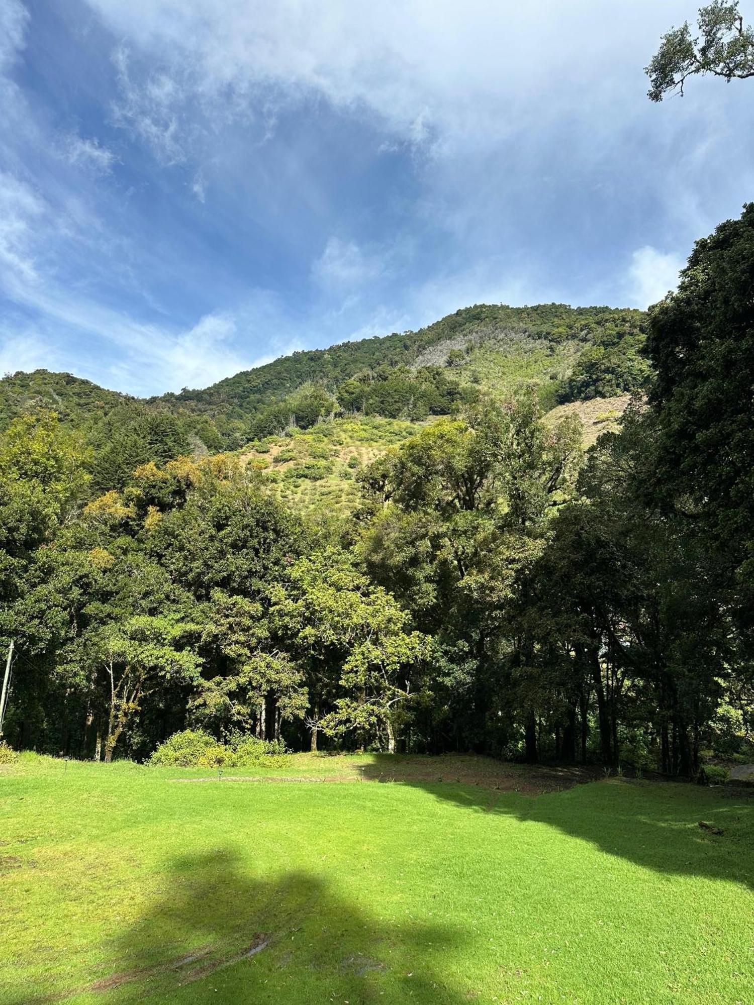 Entre Arboles Lodge San Gerardo de Dota Eksteriør billede