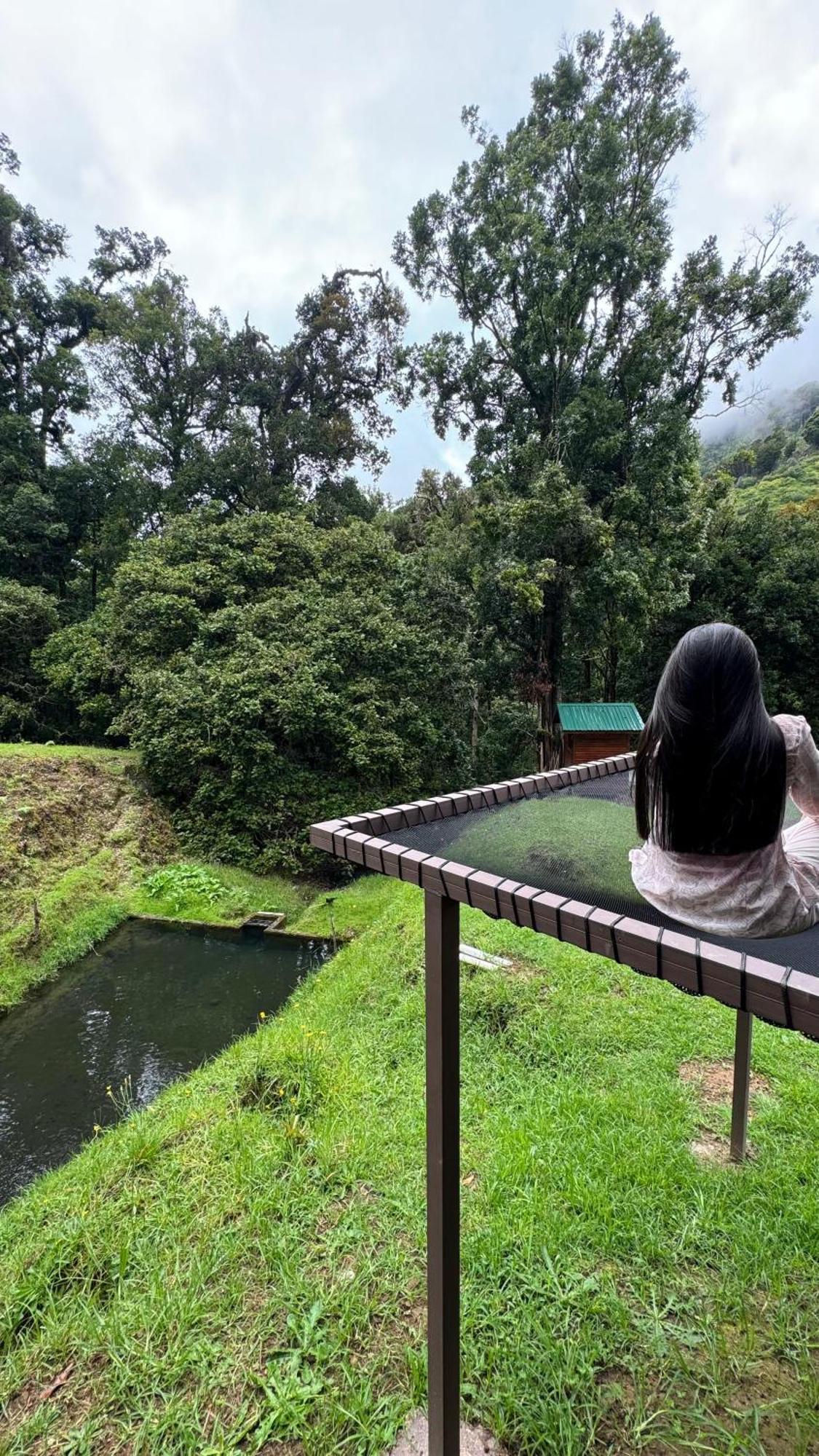Entre Arboles Lodge San Gerardo de Dota Eksteriør billede