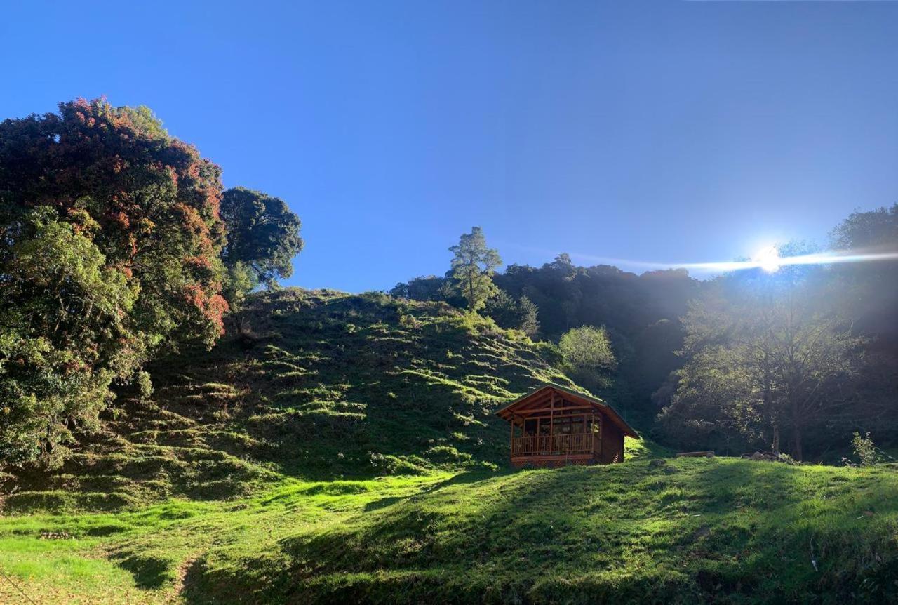 Entre Arboles Lodge San Gerardo de Dota Eksteriør billede