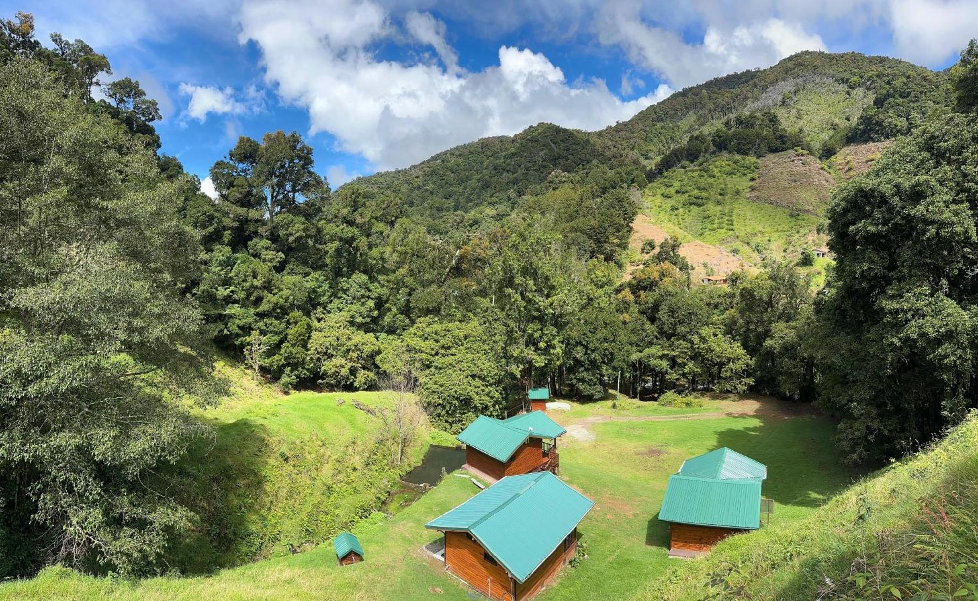 Entre Arboles Lodge San Gerardo de Dota Eksteriør billede