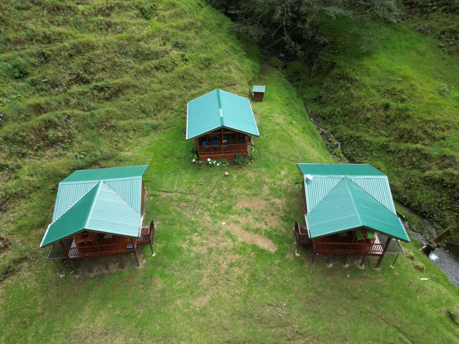 Entre Arboles Lodge San Gerardo de Dota Eksteriør billede