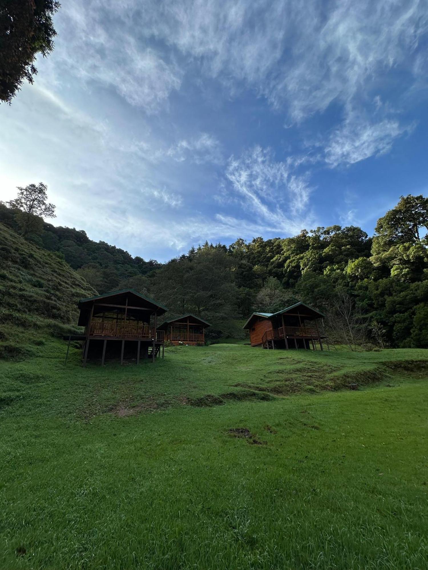 Entre Arboles Lodge San Gerardo de Dota Eksteriør billede