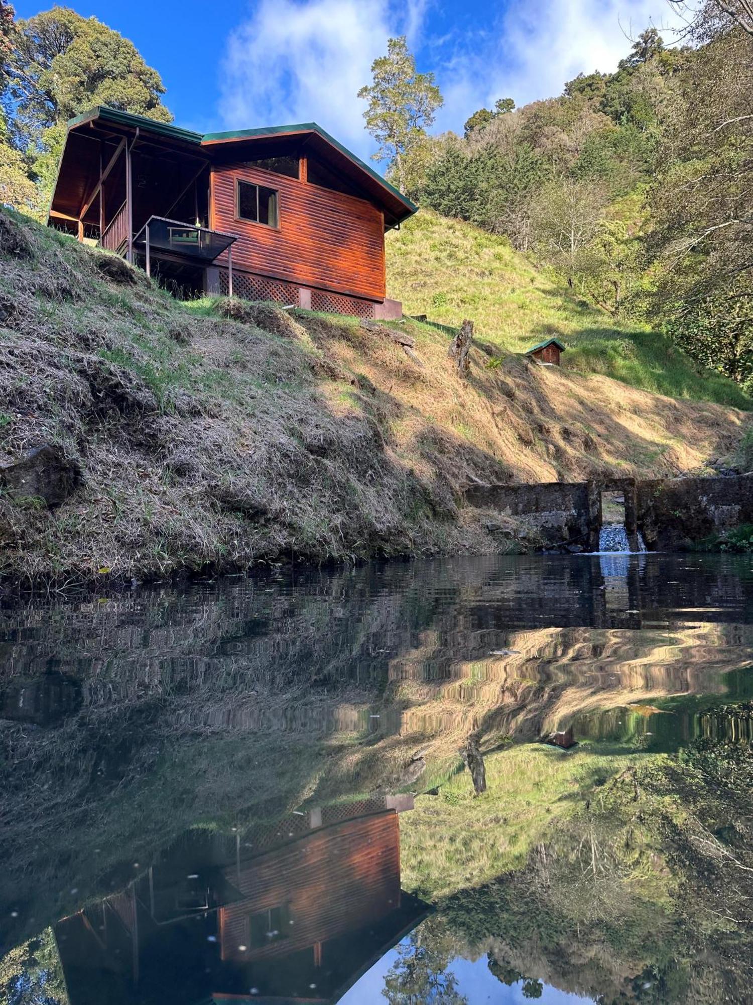 Entre Arboles Lodge San Gerardo de Dota Eksteriør billede