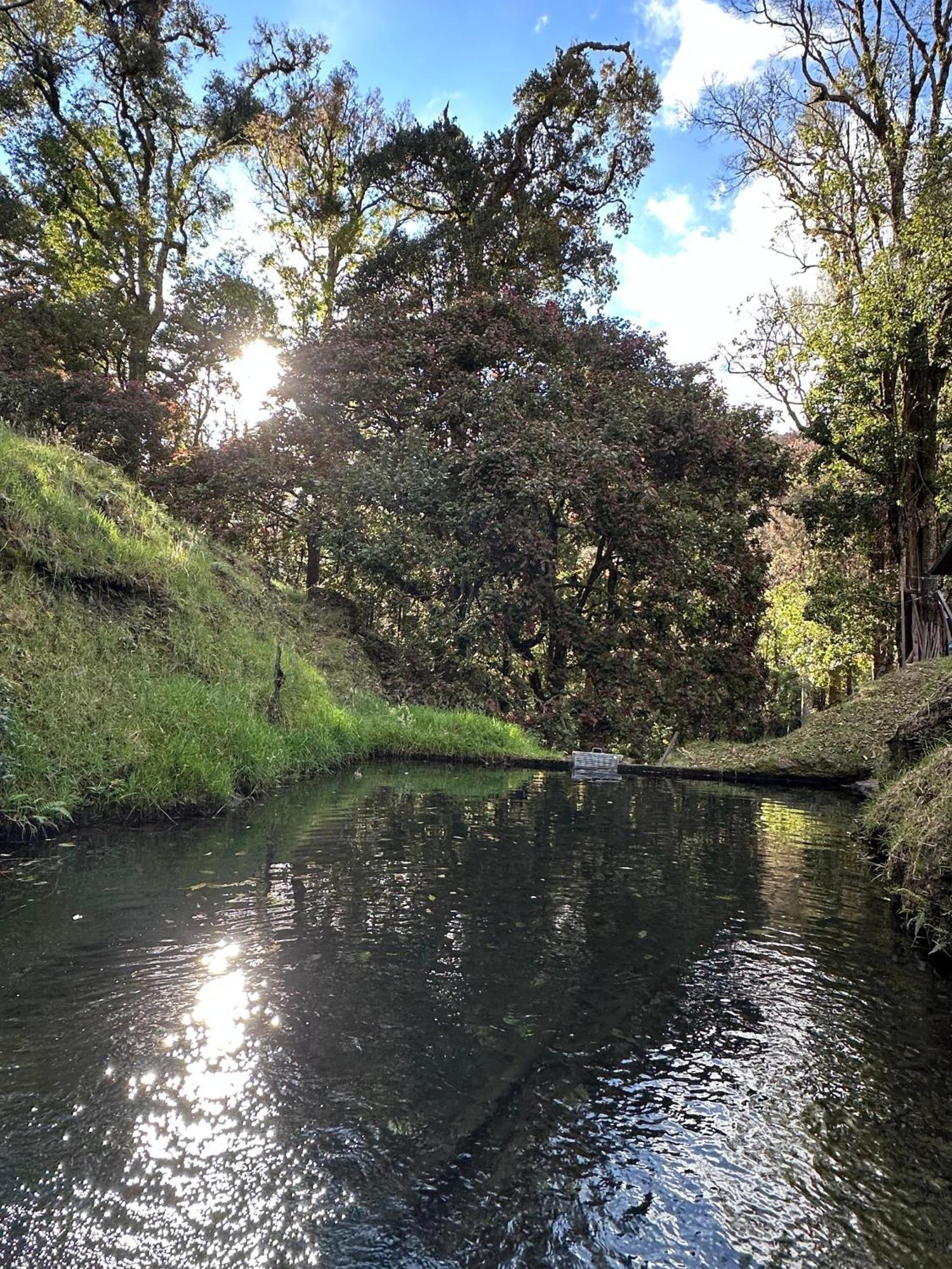 Entre Arboles Lodge San Gerardo de Dota Eksteriør billede