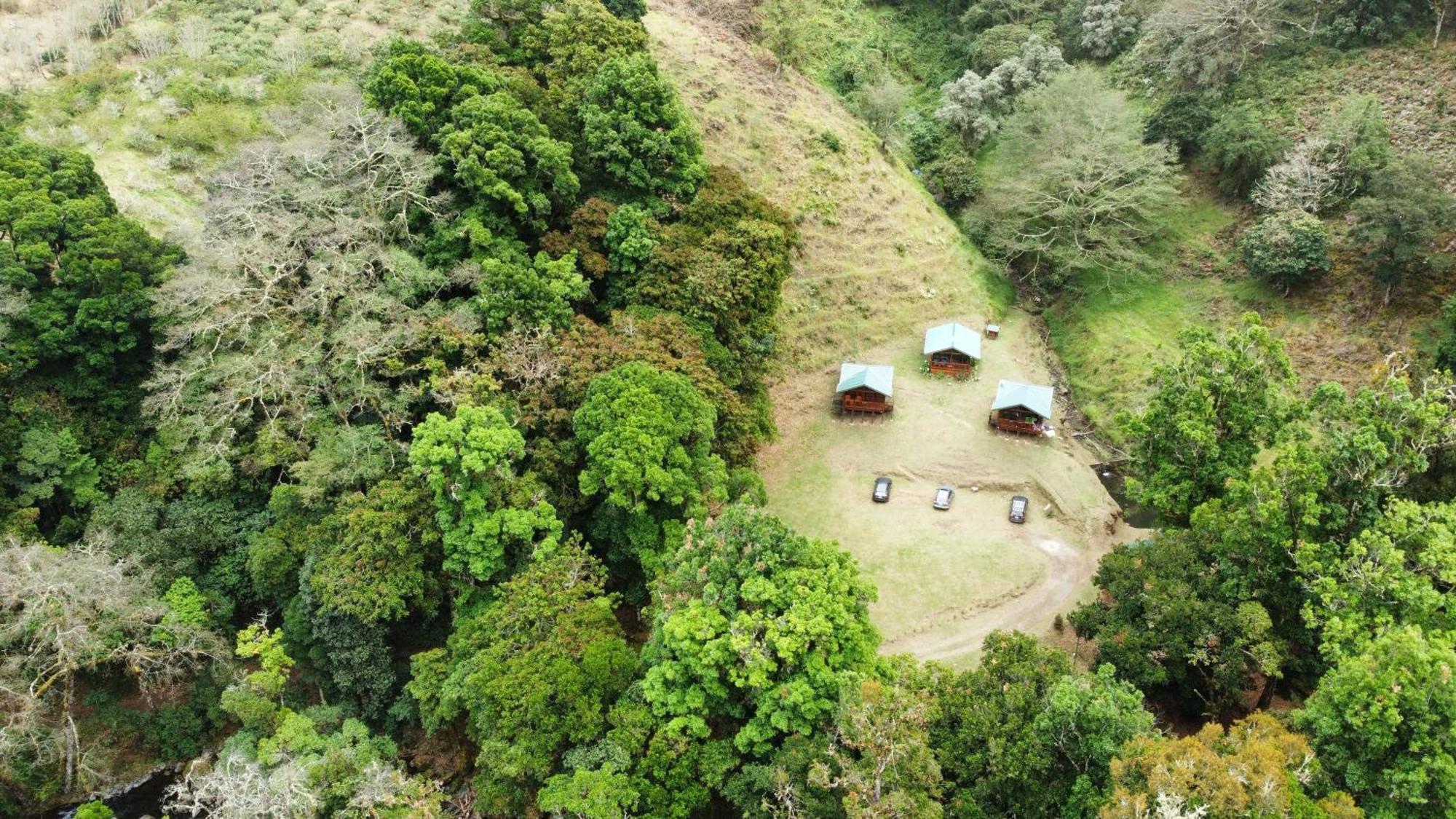 Entre Arboles Lodge San Gerardo de Dota Eksteriør billede
