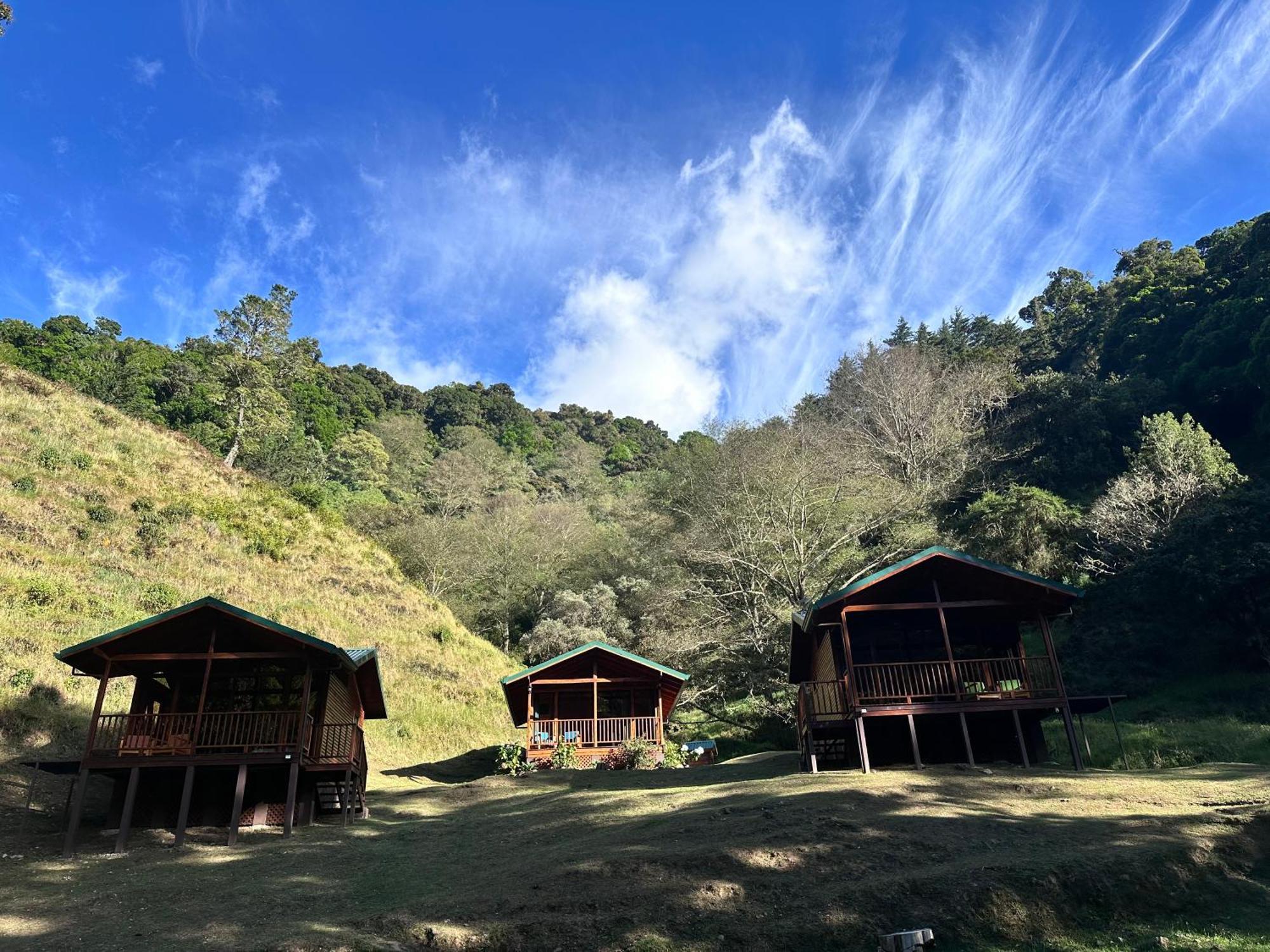 Entre Arboles Lodge San Gerardo de Dota Eksteriør billede
