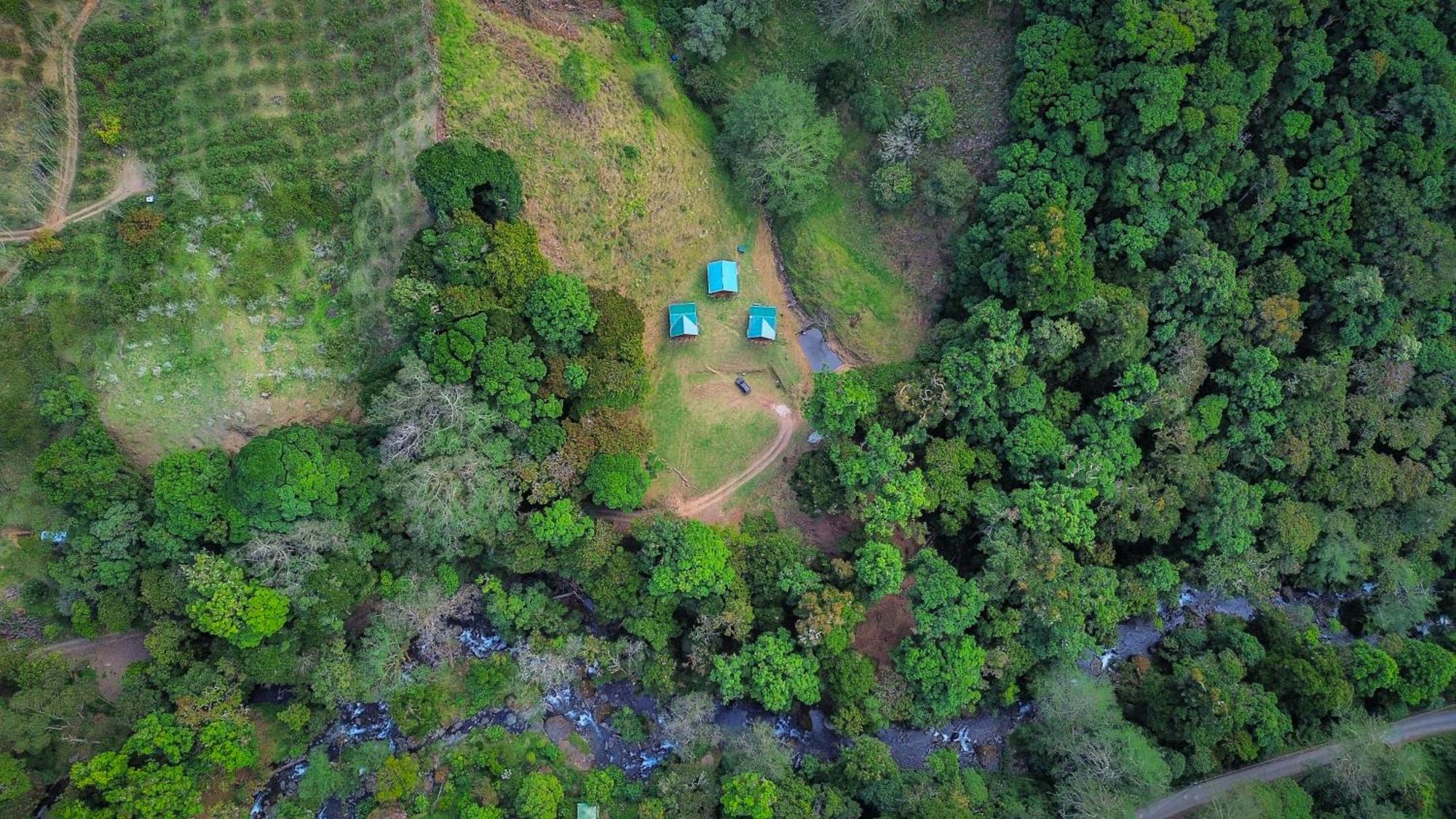 Entre Arboles Lodge San Gerardo de Dota Eksteriør billede