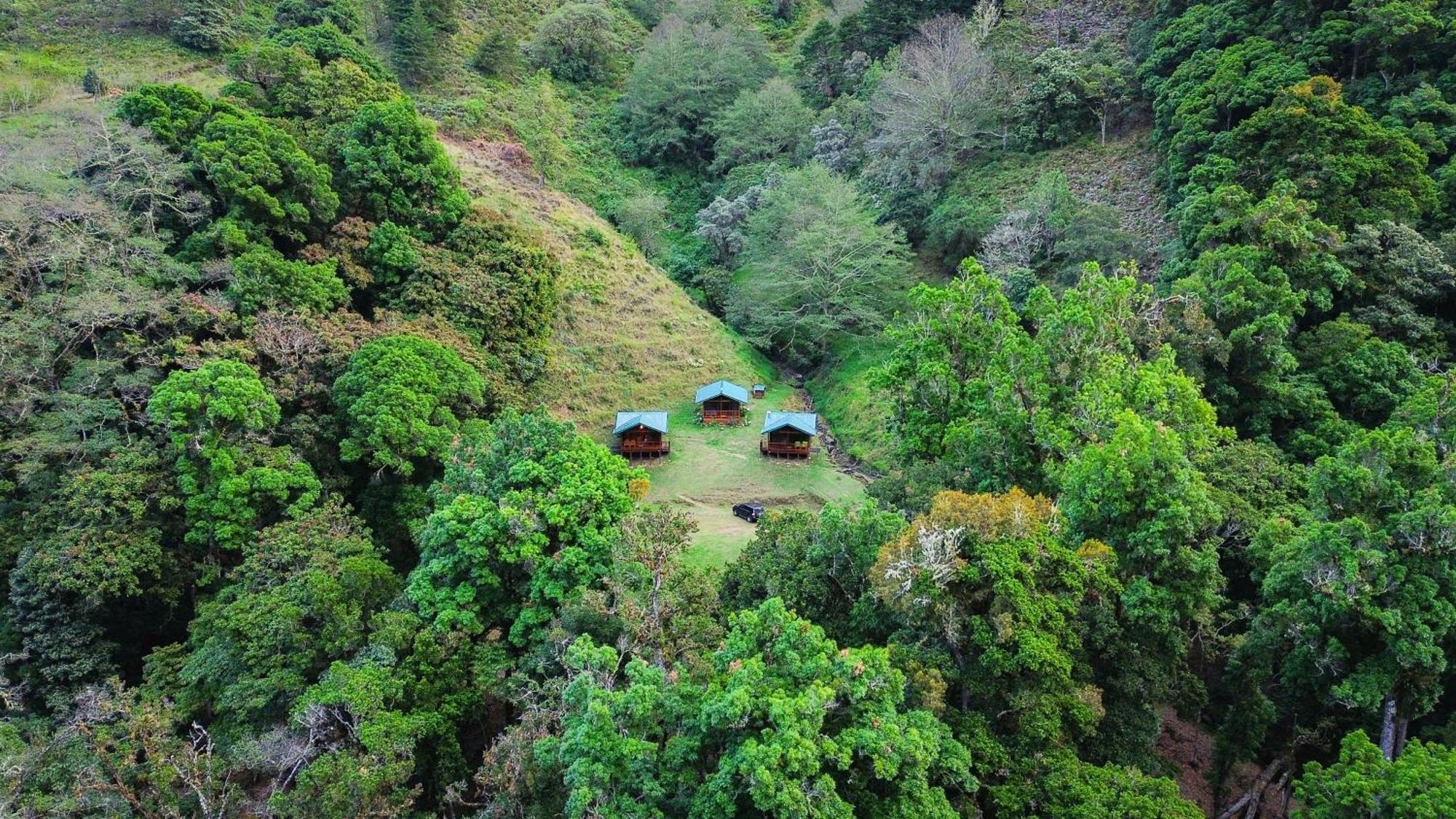 Entre Arboles Lodge San Gerardo de Dota Eksteriør billede