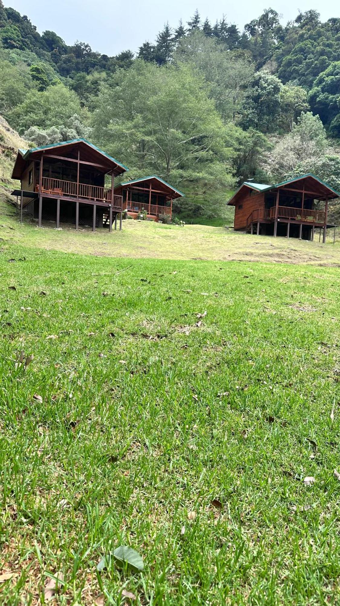 Entre Arboles Lodge San Gerardo de Dota Eksteriør billede