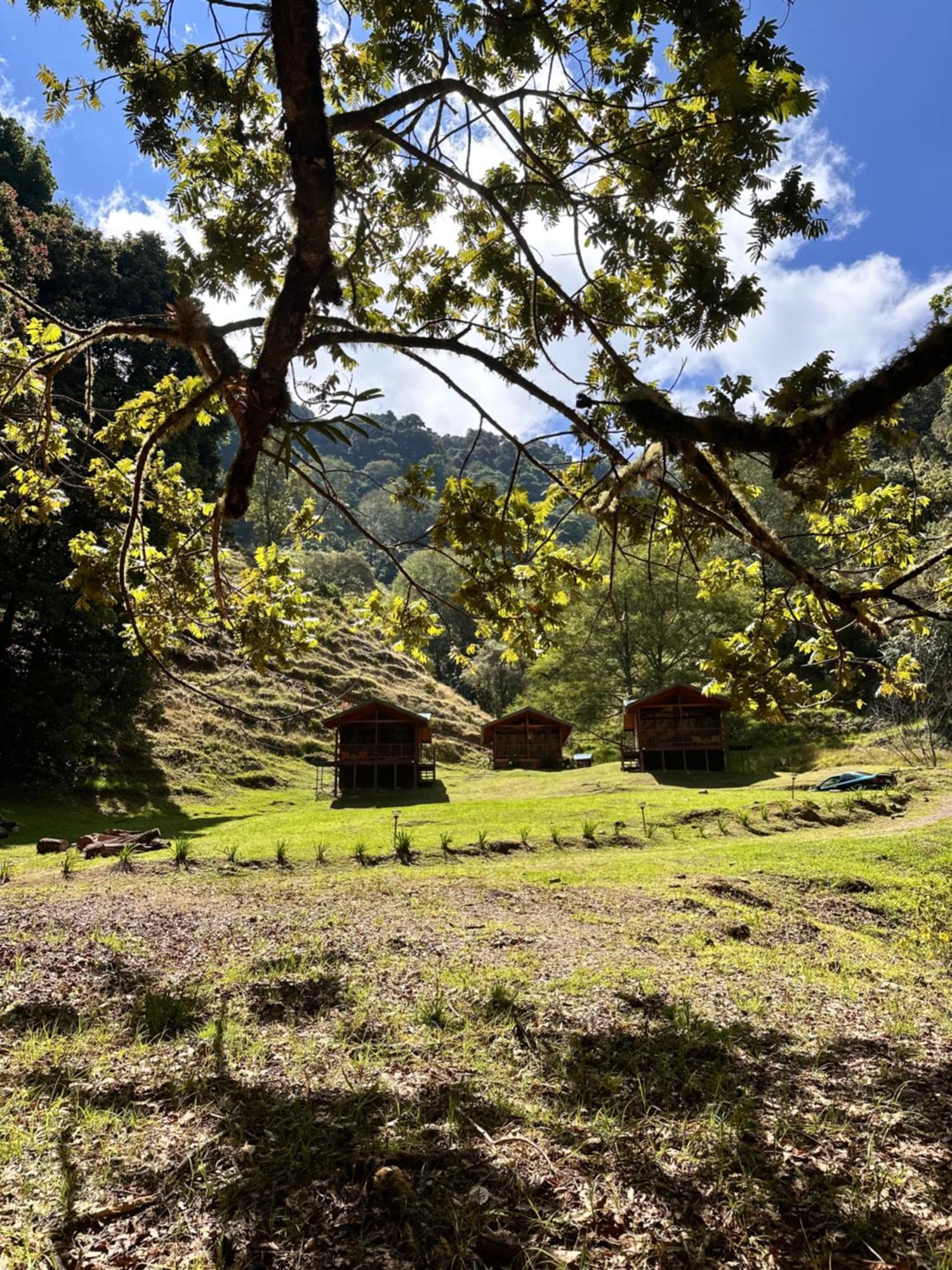 Entre Arboles Lodge San Gerardo de Dota Eksteriør billede