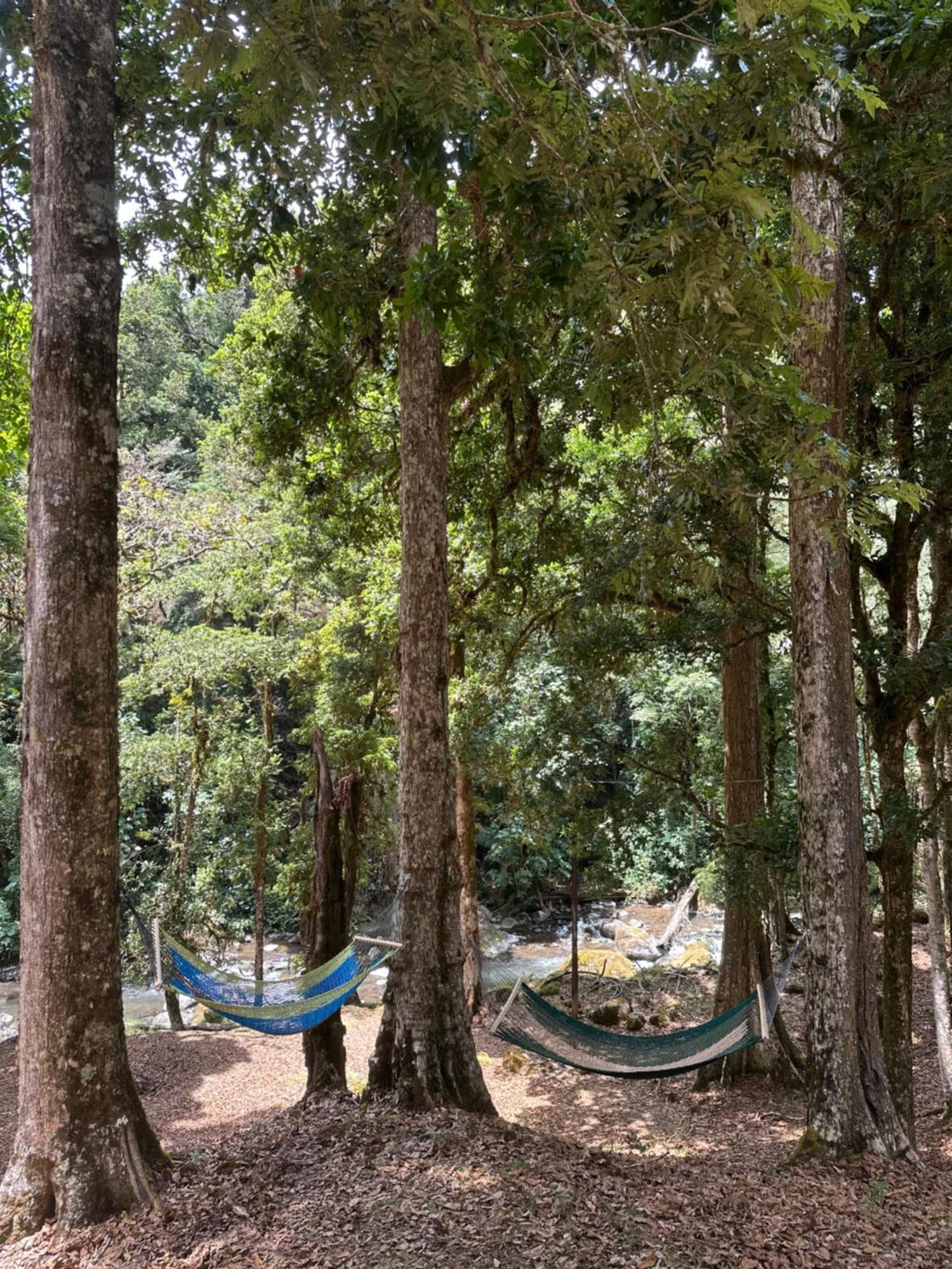 Entre Arboles Lodge San Gerardo de Dota Eksteriør billede