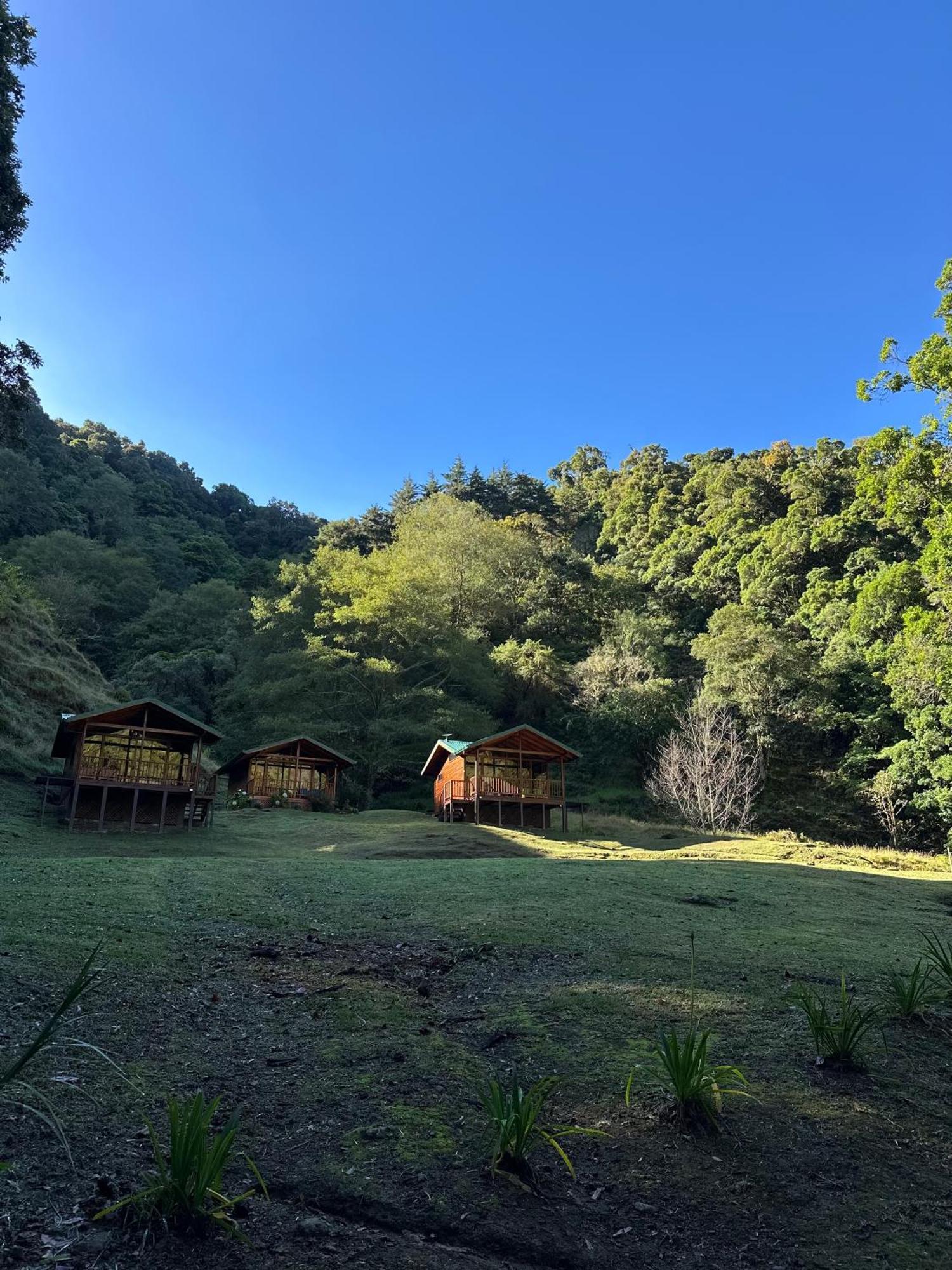 Entre Arboles Lodge San Gerardo de Dota Eksteriør billede