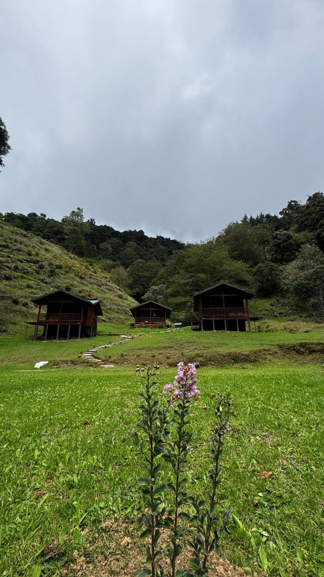 Entre Arboles Lodge San Gerardo de Dota Eksteriør billede