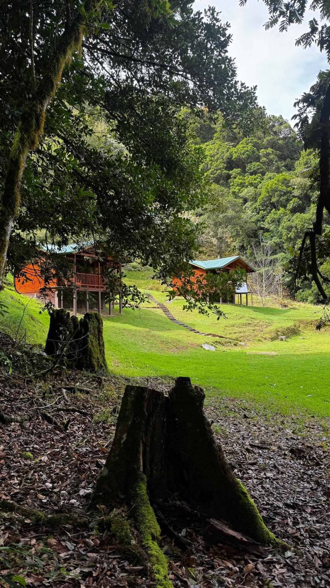 Entre Arboles Lodge San Gerardo de Dota Eksteriør billede