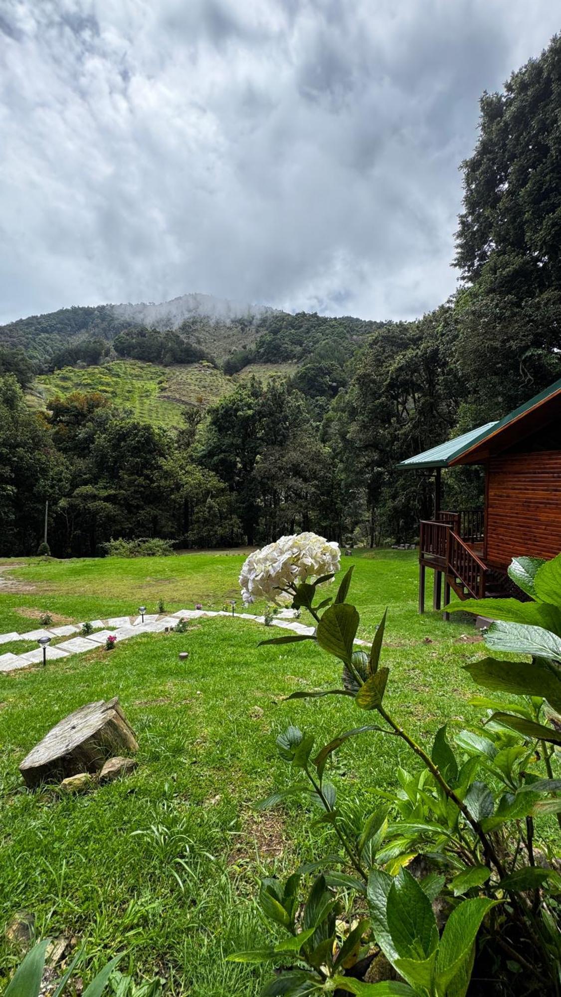 Entre Arboles Lodge San Gerardo de Dota Eksteriør billede