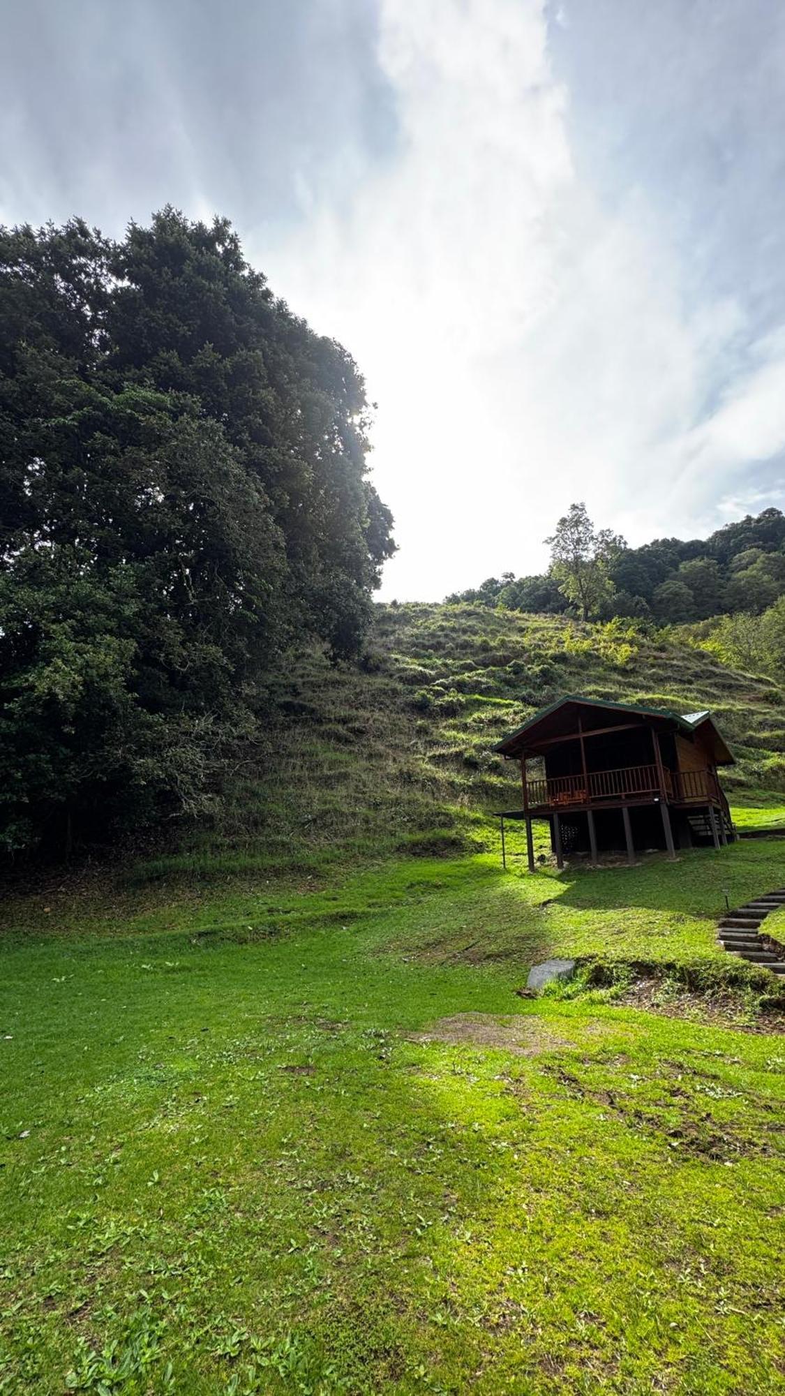 Entre Arboles Lodge San Gerardo de Dota Eksteriør billede
